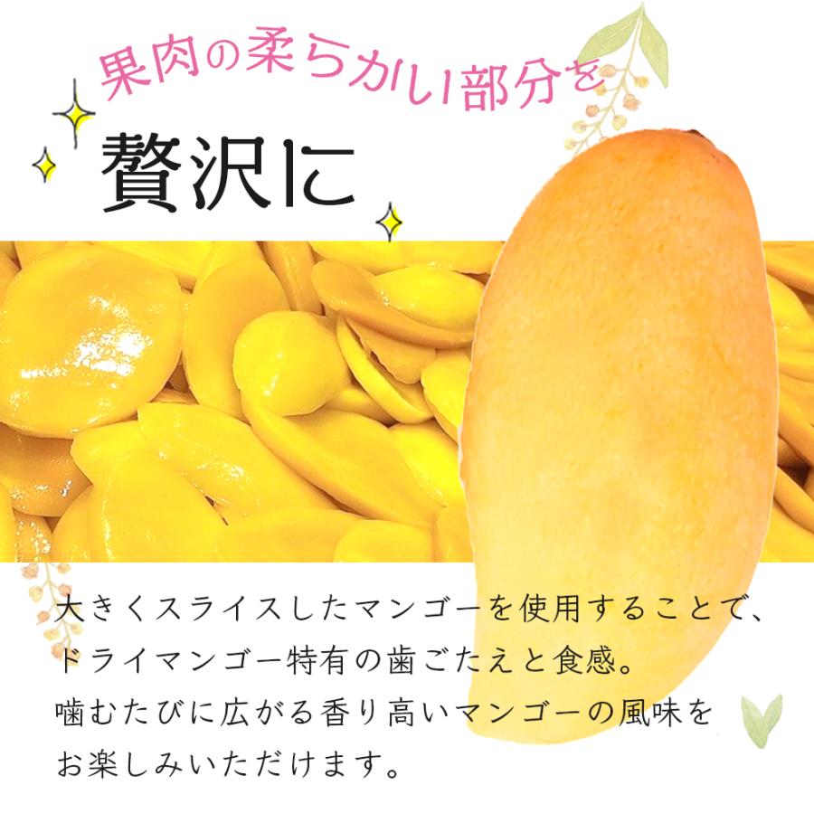 ドライマンゴー リッチカット 500g 2袋セット (500g×2) 送料無料 ドライフルーツ マンゴー スライス ポイント利用 |  | 03