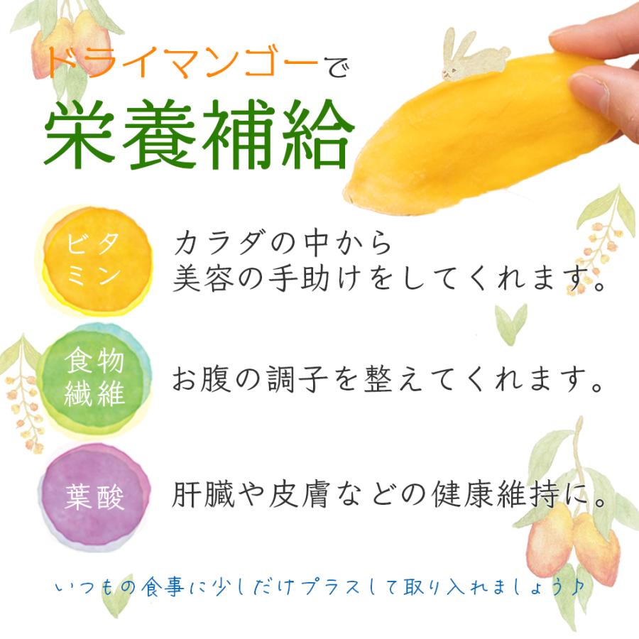 ドライマンゴー リッチカット 500g 2袋セット (500g×2) 送料無料 ドライフルーツ マンゴー スライス ポイント利用 |  | 05