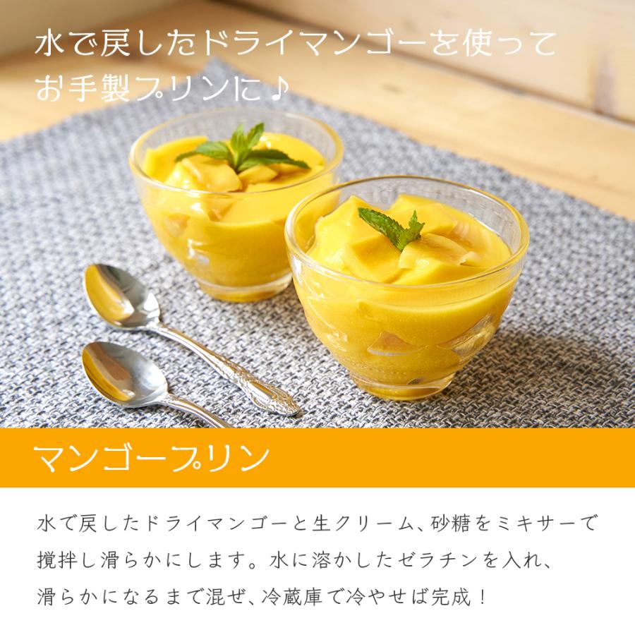 ドライマンゴー リッチカット 500g 2袋セット (500g×2) 送料無料 ドライフルーツ マンゴー スライス ポイント利用 |  | 08