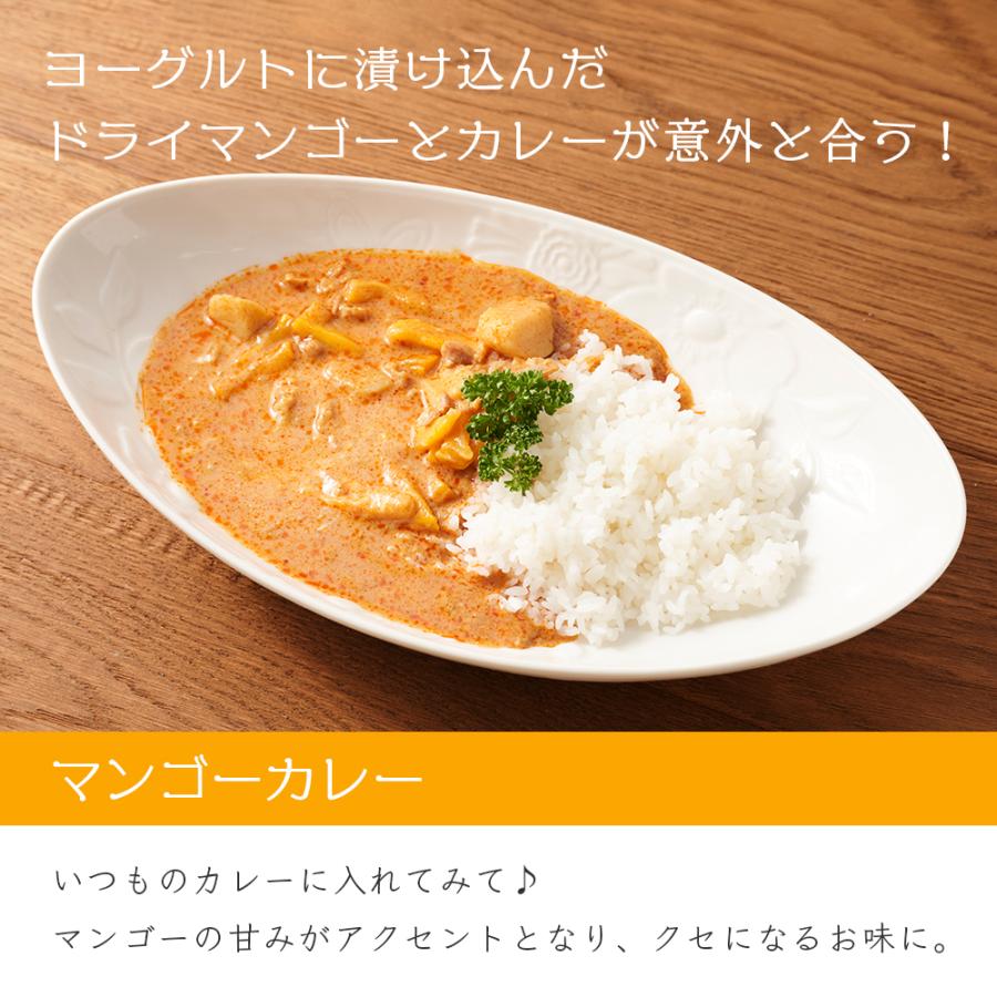 ドライマンゴー リッチカット 500g 2袋セット (500g×2) 送料無料 ドライフルーツ マンゴー スライス ポイント利用 |  | 09