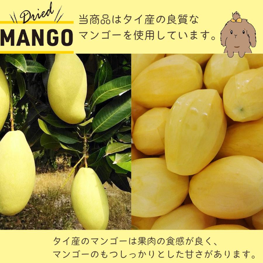 ドライマンゴー＆パイナップル 500g 2袋 新物入荷 ポイント利用 |  | 04