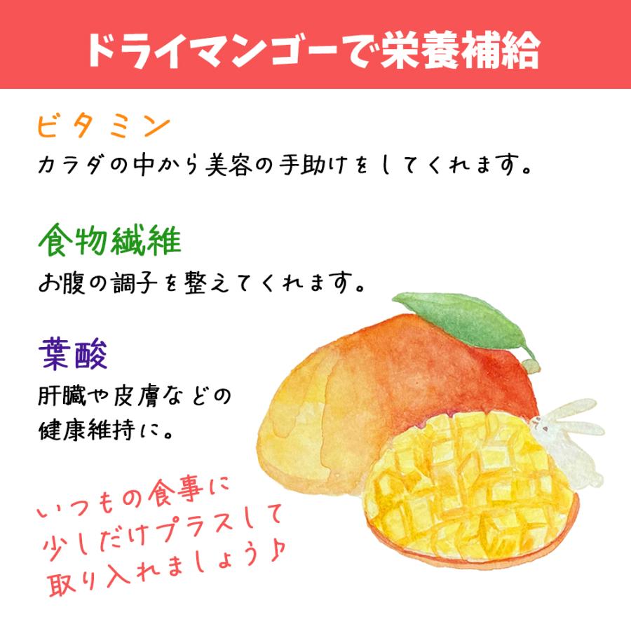 ドライマンゴー 400g 2袋セット 送料無料 細切り ドライマンゴー ドライフルーツ マンゴー 不揃い 新物入荷 ポイント利用 |  | 09