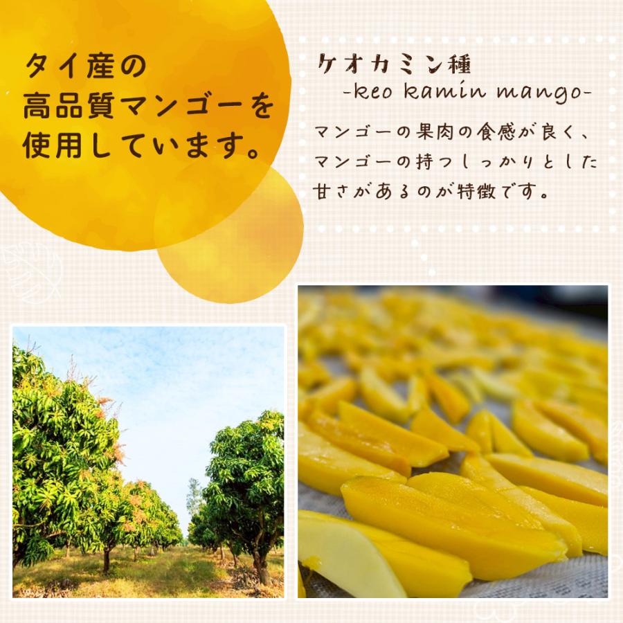 無添加 完熟ドライマンゴー 210g 2袋セット (210g×2) 砂糖不使用・添加物不使用 自然の甘さそのまま 個包装 送料無料 ポイント利用 |  | 03