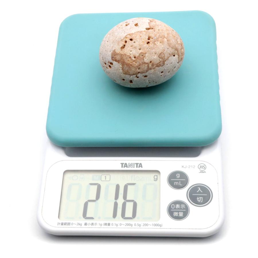 姫川薬石 自然石 1個 200−250g前後 タンブル 特大サイズ 新潟県