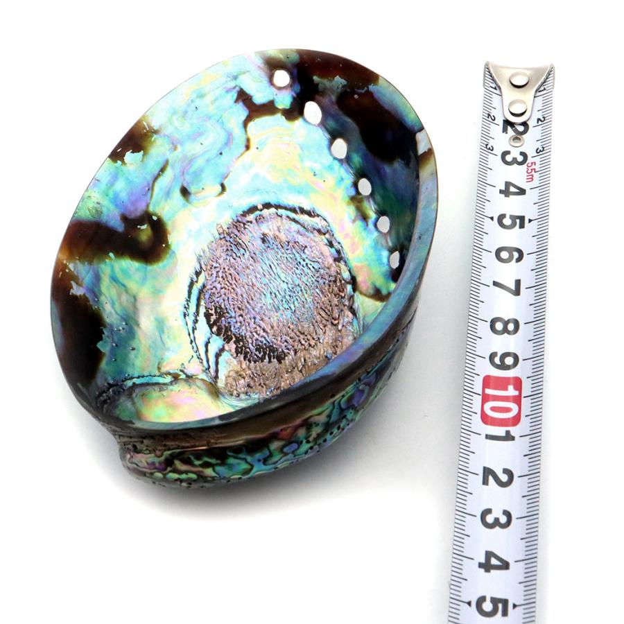 アバロンシェル 浄化皿 1枚売り パウアシェル 貝殻 ニュージーランド産 ホワイトセージ用の受け皿 アワビ貝 Avalon shell 父の日 ギフト プレゼント 爆買 | ブランド登録なし | 05