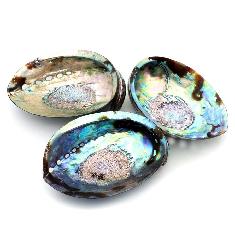 アバロンシェル 浄化皿 1枚売り パウアシェル 貝殻 ニュージーランド産