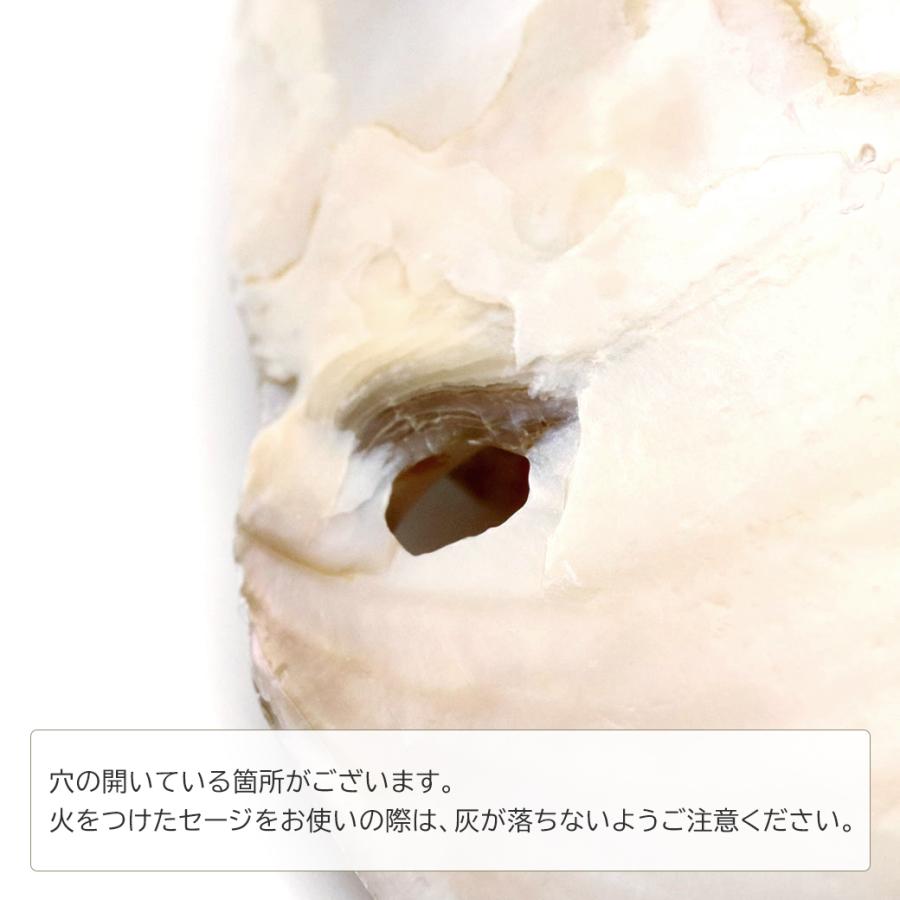 パールシェル 浄化皿 1枚売り 小物入れ 貝殻 オーストラリア産 ホワイトセージ用の受け皿 イケチョウ貝 pearl shell 父の日 ギフト プレゼント 爆買 | ブランド登録なし | 04