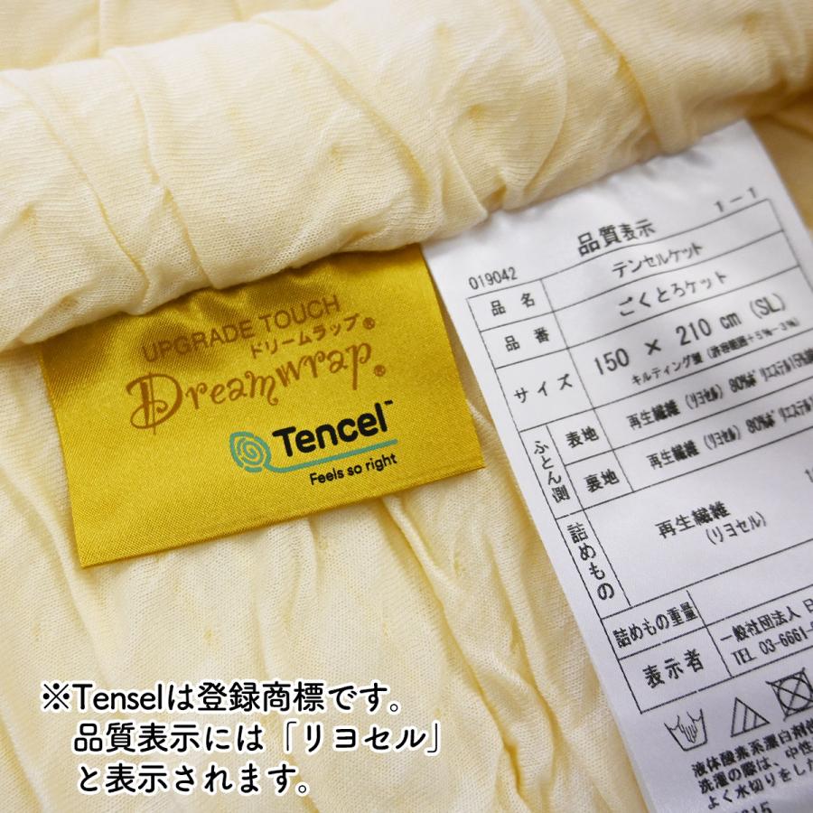 ごくとろケット テンセルケット ダブルサイズ リヨセル 肌掛け 肌掛け布団 ふんわり とろとろ ふわとろ 洗える 掛け布団 ウォッシャブル 洗濯 衛生 日本製 |  | 04