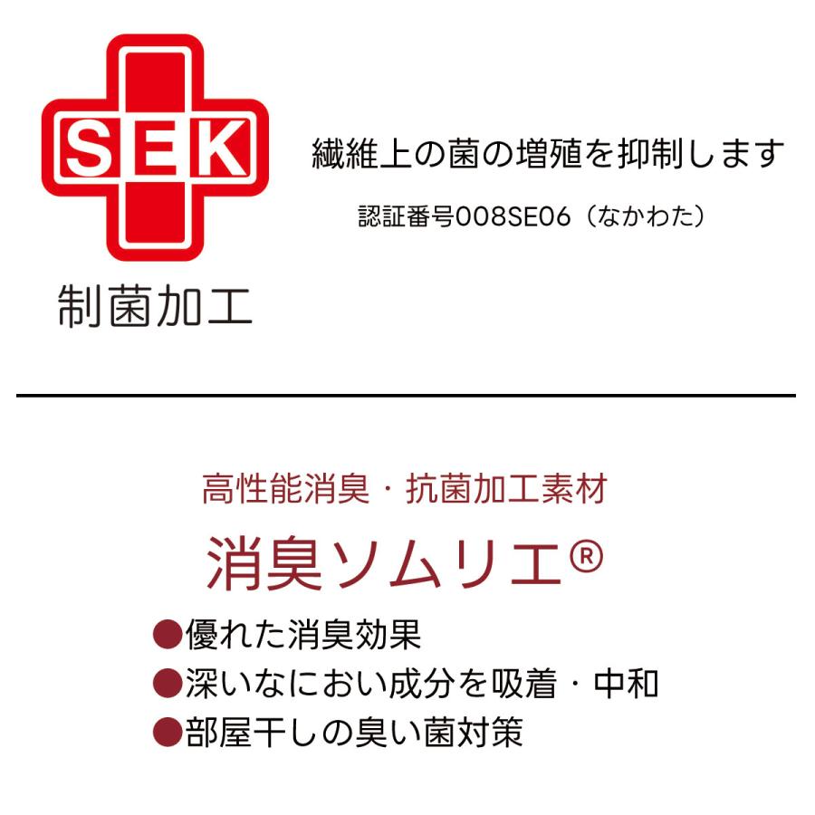 消臭 肌ふとん 肌掛け シングルサイズ 洗える 肌掛け布団 消臭ソムリエ ダクロン 衛生 きれい ウォッシャブル シングル シングルロング 寝具指導士 日本製 |  | 04