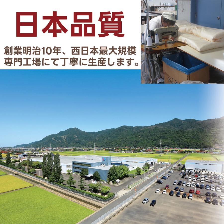 消臭 掛布団 ダブルサイズ 洗える 掛け布団 消臭ソムリエ ダクロン 衛生 きれい アレルゲン ウォッシャブル ダブル ダブルロング 睡眠 寝具指導士 日本製 |  | 12