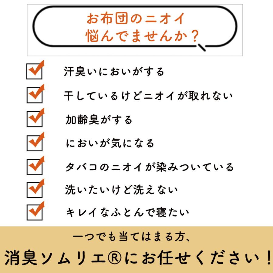 消臭 掛布団 ダブルサイズ 洗える 掛け布団 消臭ソムリエ ダクロン 衛生 きれい アレルゲン ウォッシャブル ダブル ダブルロング 睡眠 寝具指導士 日本製 |  | 02