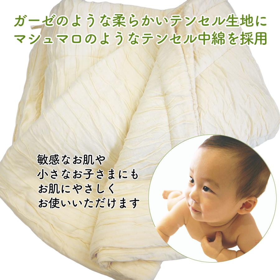 ごくとろケット テンセルケット シングルサイズ リヨセル 肌掛け 肌掛け布団 ふんわり とろとろ ふわとろ 洗える 掛け布団 ウォッシャブル 洗濯 衛生 日本製 |  | 08