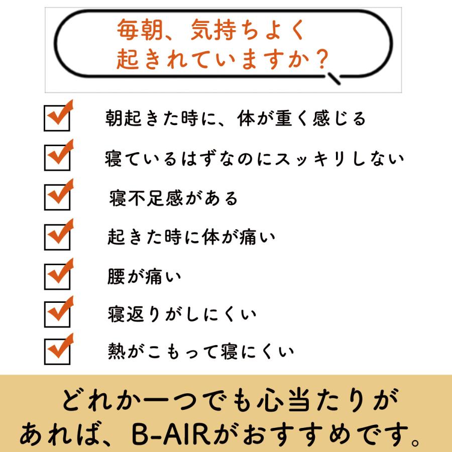 ダブルサイズ B-AIR レギュラー ブレスエアー 敷きマット マットレス オーバーレイ 日本製 通気性 体圧分散 高反発 腰痛 抗菌防臭 ベッドパッド 敷布団 丸洗い |  | 14