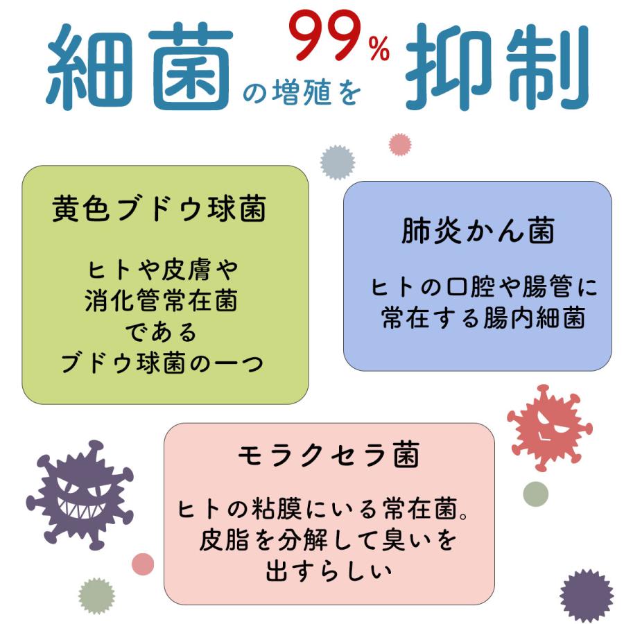 消臭 敷きパッド ベッドパッド シングルサイズ 150×210cm 洗える ベットパット 消臭ソムリエ ダクロン ウォッシャブル シングル シングルロング 日本製 |  | 06