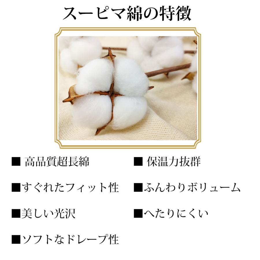 シングルサイズ 綿わた布団 綿ふとん 合掛け 合掛け布団 掛布団 コットン 綿 スーピマ綿 綿100％ 日本製 肌ふとん フィット シングル シングルロング 日本製 |  | 04