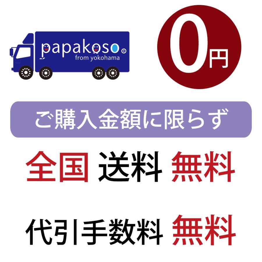 カラビナ 日本製 YKK製 樹脂カラビナ D型 55ミリ 厚さ7ミリ YKK ＹＫＫ 樹脂 錆びない 耐荷重10kg papakoso パパコソ |  | 22