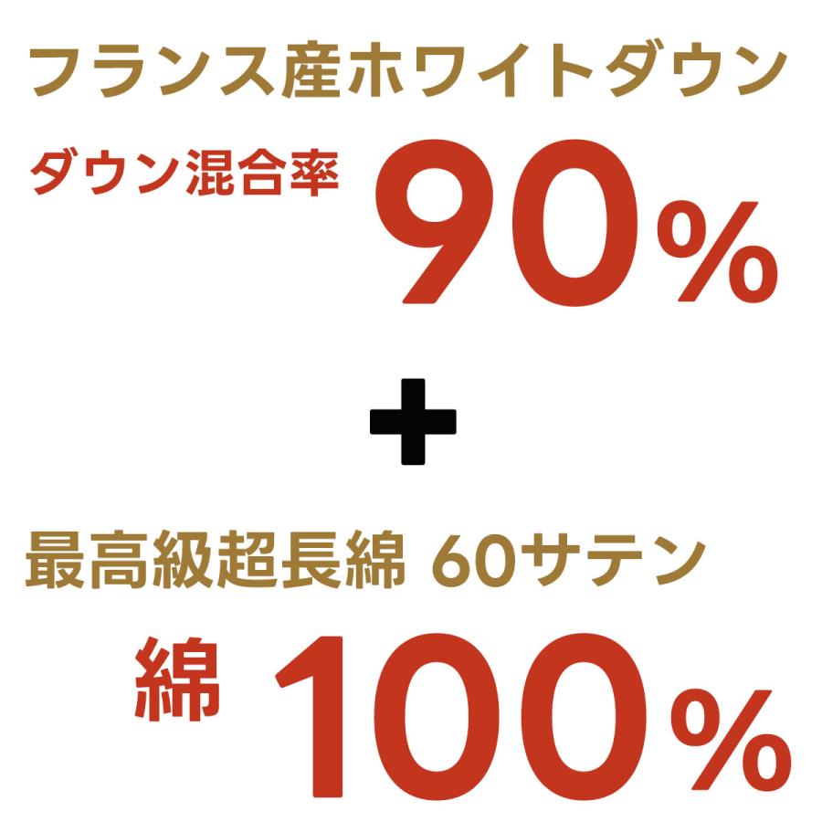 羽毛布団リフォーム スタンダード シングルサイズ 往復送料無料 羽毛布団 打ち直し リフレッシュ 立体キルト 羽毛ふとん クリーニング 日本製【納期3週間前後】 |  | 10