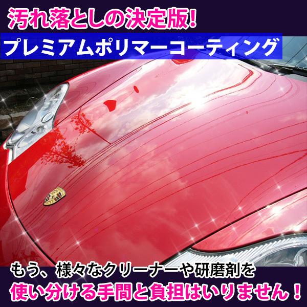 車 キズ消し 業務用 光沢復元 汚れ落しの決定版 これで解決 プレミアム