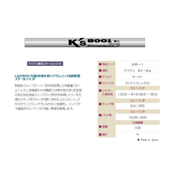 プロトコンセプト C05TP アイアン + K's 8001の画像