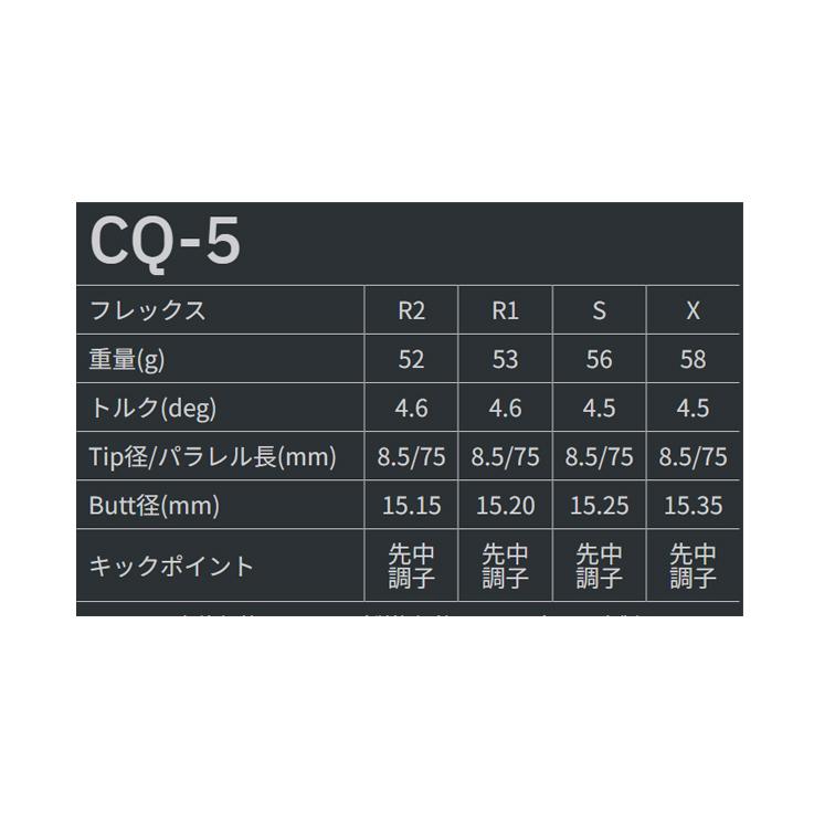 Roddio FW 2024 + TourAD CQ【カスタムオーダー】_12