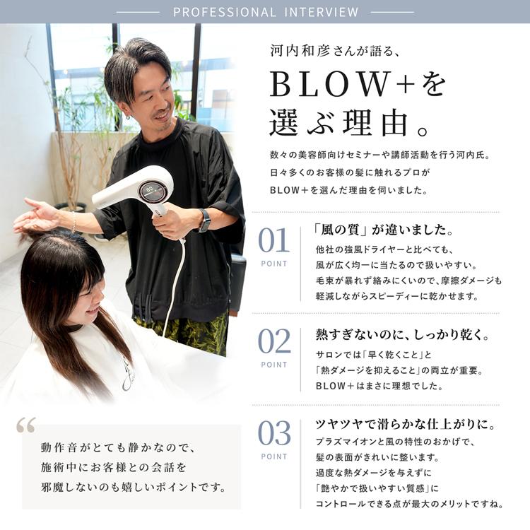 Onedam ドライヤー ワンダム 海外対応 大風量 速乾 サロン仕様 低温