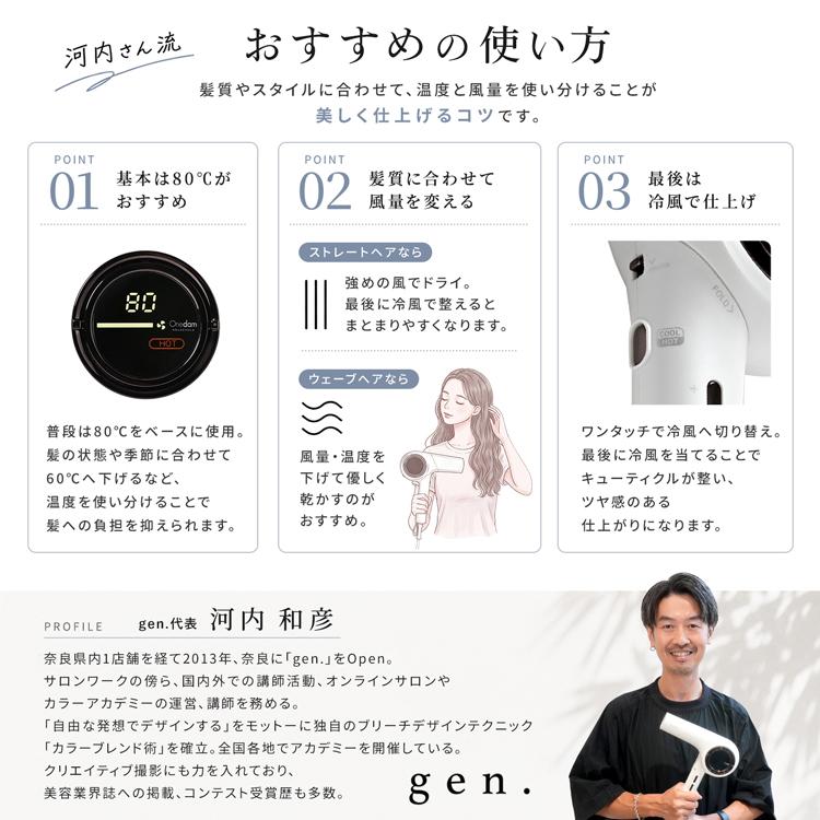 Onedam ドライヤー ワンダム 海外対応 大風量 速乾 サロン仕様 低温