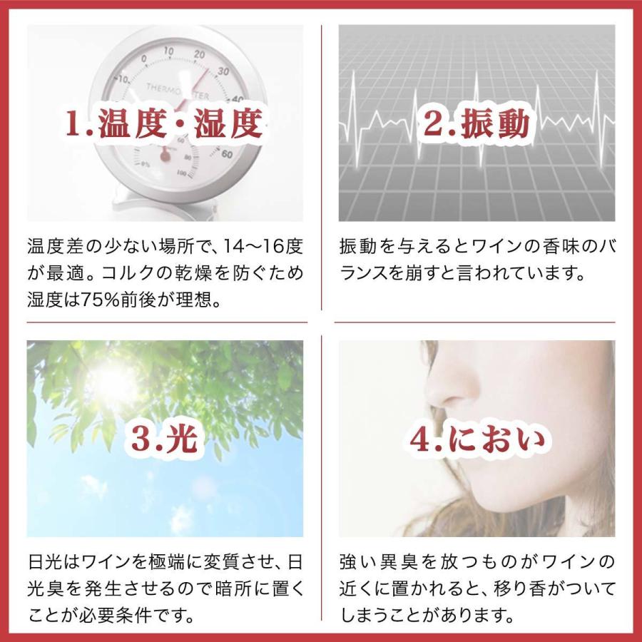 ワインセラー 家庭用 12本 収納 2段式 33L 上下段別温度調整 ワイン