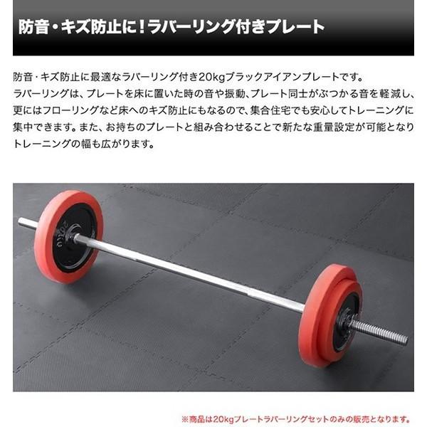 FIELDOOR 1年保証 バーベル 用 プレート 20kg 2個セット FIELDOOR 1年保証 バーベル 用 プレート 20kg 2個セット