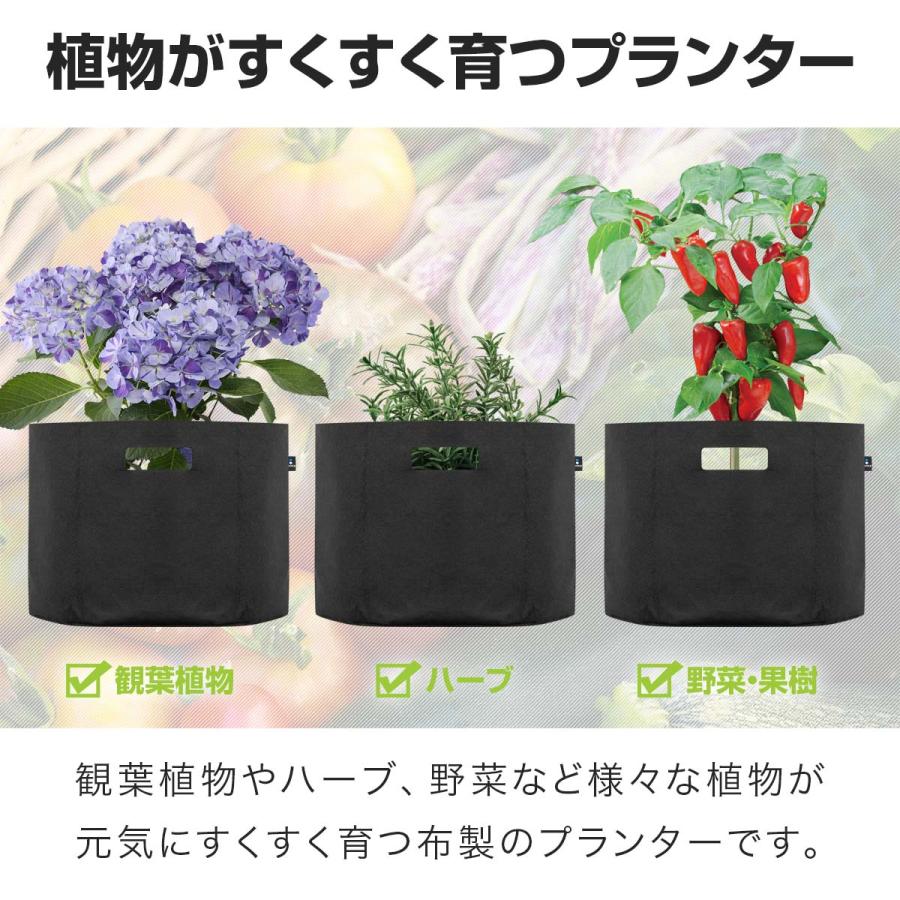 菓子鉢 花柄 直径約18センチ高さ約9センチ 楽天市場】THE HARVEST ボタニカルプレート 21cm(皿 プレート
