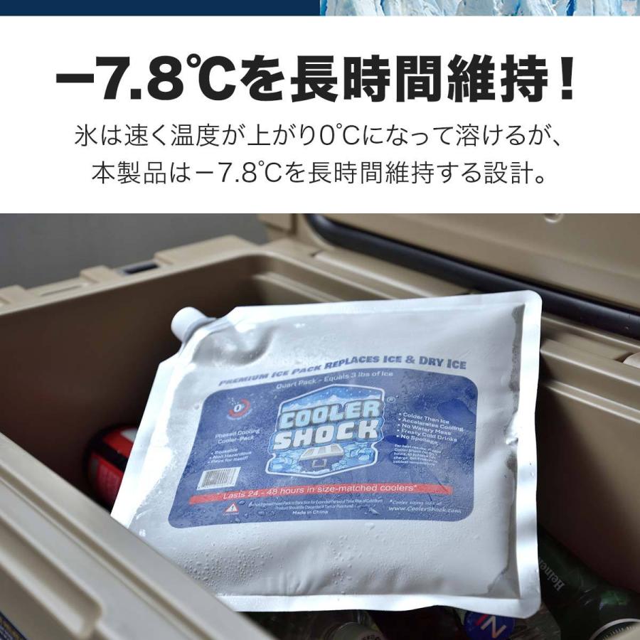 1年保証 保冷剤 長時間 クーラーショック COOLER SHOCK Mサイズ 単品 25×25.5cm 保冷パック クーラーパック -7.8度 強力保冷剤 ジェル 氷点下｜onedollar8｜03