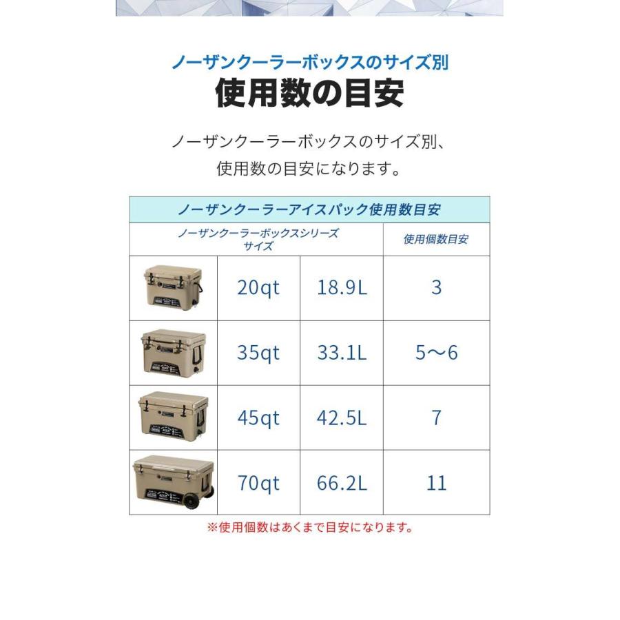 1年保証 保冷剤 保冷パック 2個セット 長時間 繰り返し アイスパック 9.2×16.2cm クーラーボックス バッグ キャンプ アウトドア ノーザンクーラー 送料無料｜onedollar8｜05