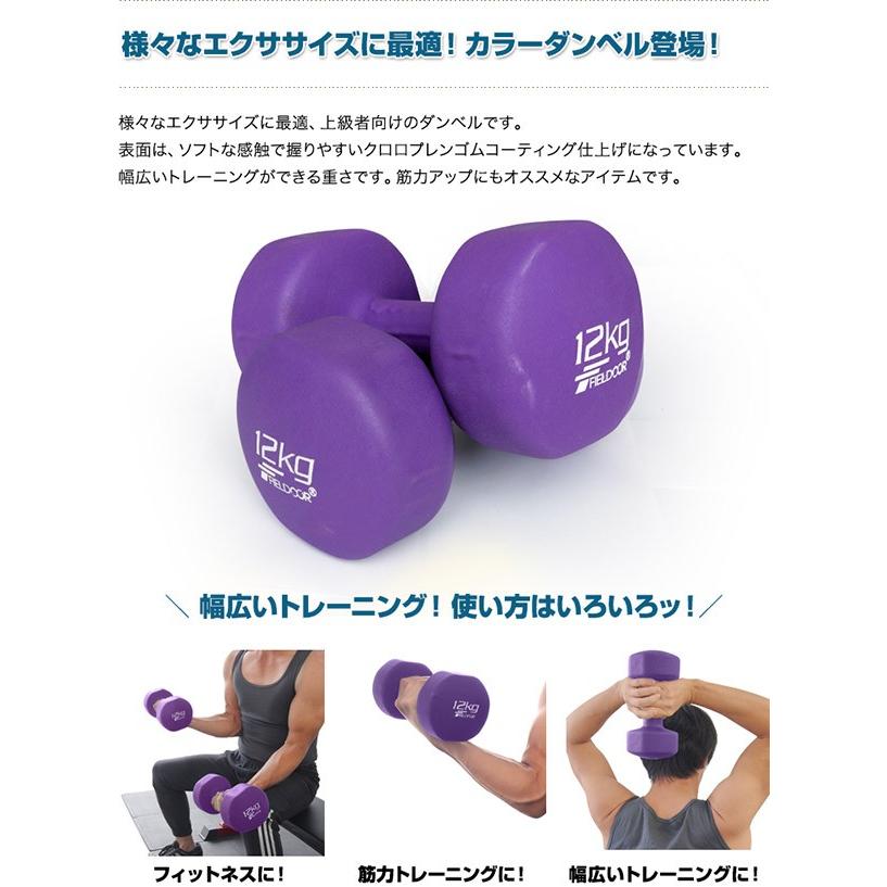 FIELDOOR 1年保証 ダンベル 12kg 2個セット 合計24kg カラー FIELDOOR 1年保証 ダンベル 12kg 2個セット 合計24kg カラー