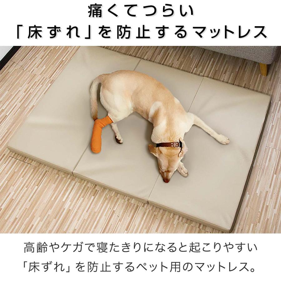 1年保証 ペット 床ずれ 防止 クッション ペット用 床ずれ防止