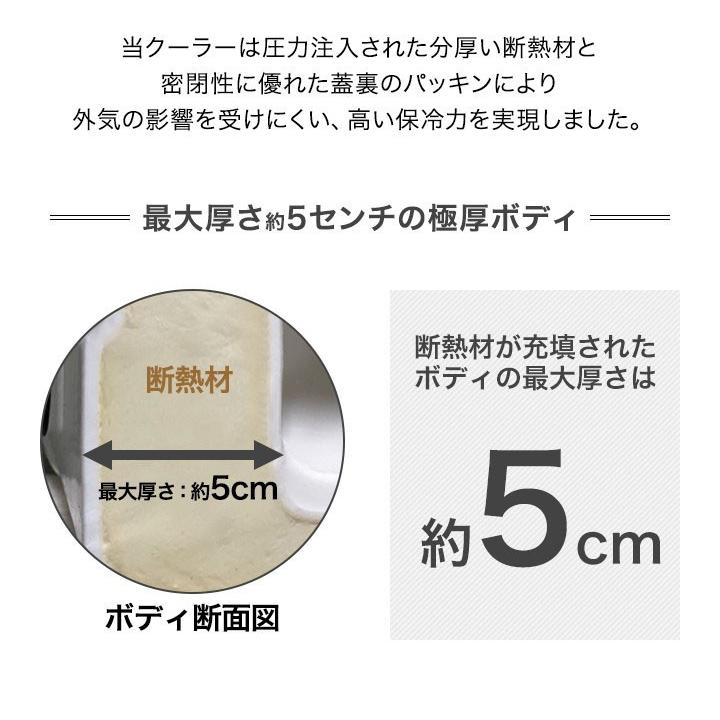 1年保証 クーラーボックス 小型 18.9L 20QT クーラーバッグ ハードクーラーボックス クーラーBOX プロ仕様 釣り キャンプ バーベキュー 運動会 送料無料 | FIELDOOR | 06