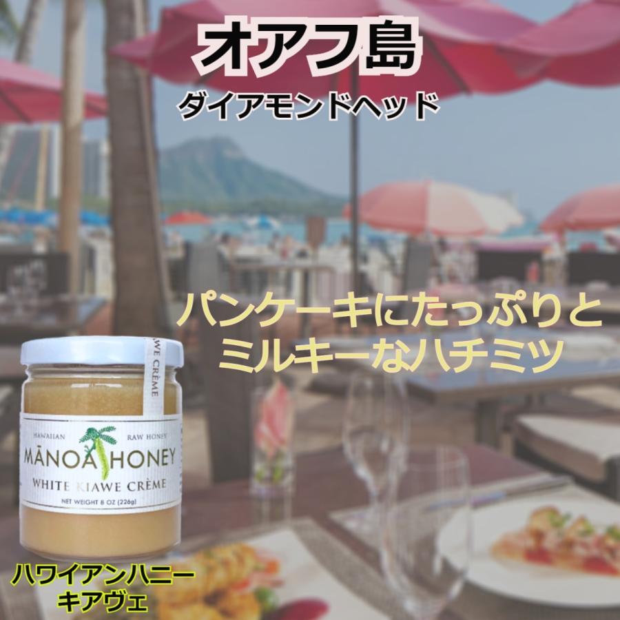 マノアハニー ハワイ 非加熱 はちみつ 白いハチミツ キアヴェハニー 8oz ホワイトハニー Mh Kv01 世界の蜂蜜 ワンハニー 通販 Yahoo ショッピング