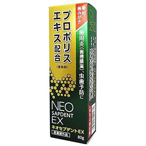 [医薬部外品] 森川健康堂 プロポリス 薬用 歯みがき 歯肉炎予防 ネオセプデントEX 80g｜onehoney