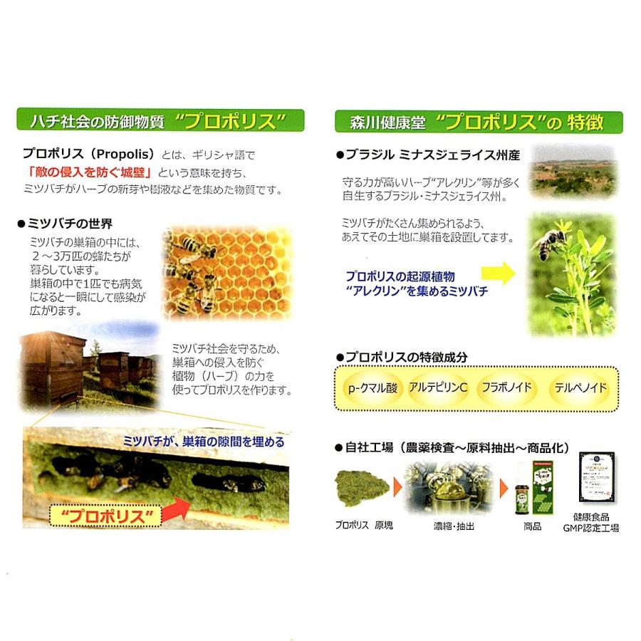 20袋で送料無料 お得 まとめ買い プロポリスキャンディー 100g 森川健康堂 のどケア プロポリス 免疫ケア | 森川健康堂 | 05