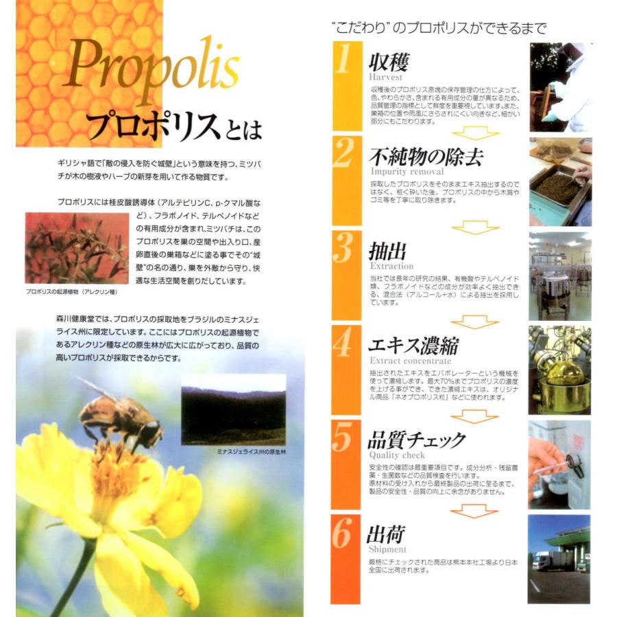 20袋で送料無料 お得 まとめ買い プロポリスキャンディー 100g 森川健康堂 のどケア プロポリス 免疫ケア | 森川健康堂 | 06