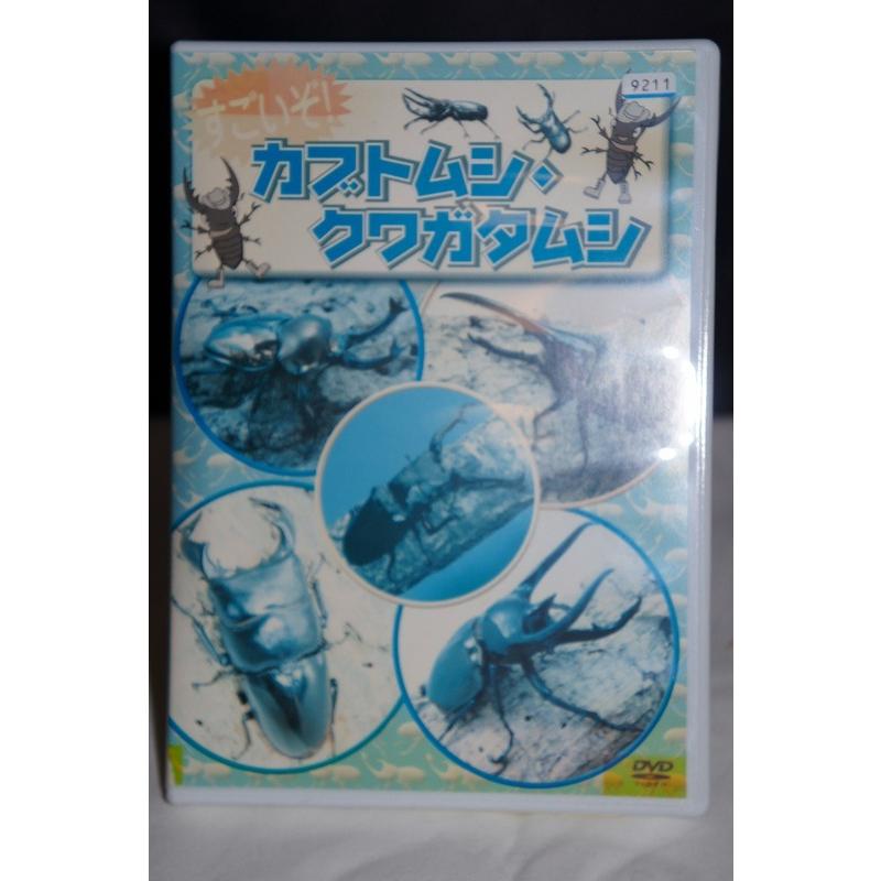 【中古】 カブトムシｖｓクワガタムシ最強バトルＤＶＤブック/雄出版 中古】 カブトムシvsクワガタムシ最強バトルDVDブック/雄