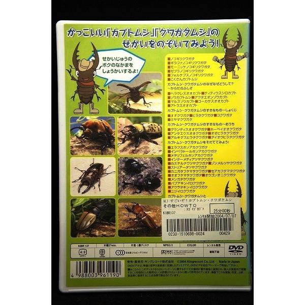 5100334 すごいぞ！カブトムシ・クワガタムシ※中古DVD（レンタル落ち