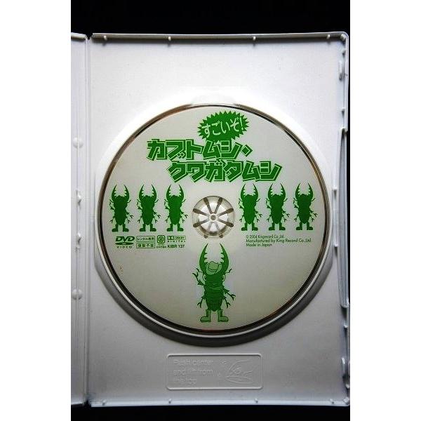 5100334 すごいぞ！カブトムシ・クワガタムシ※中古DVD（レンタル落ち