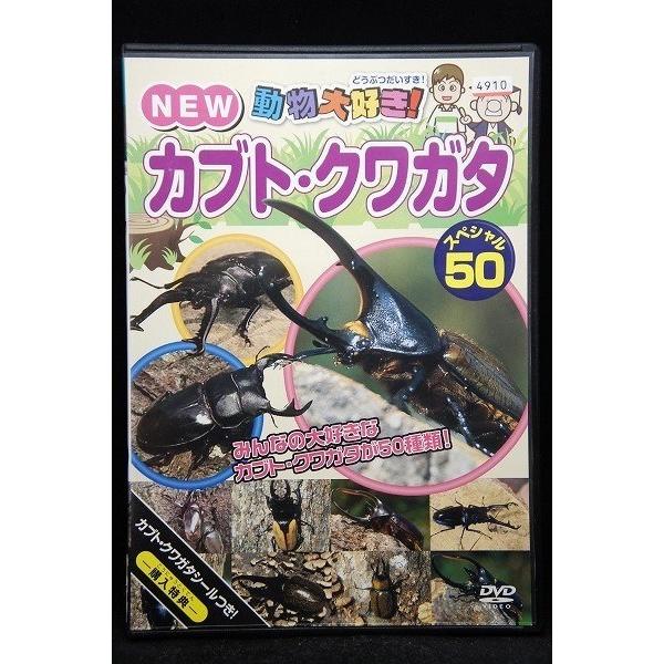 5100335 動物大好き!NEW カブト・クワガタ スペシャル 50 ※中古DVD