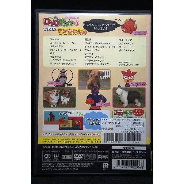 5100342 わくわく DVDずかん 8 いろいろなワンちゃん編 ※中古DVD