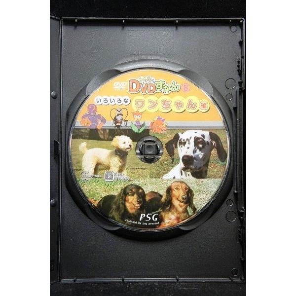 5100342 わくわく DVDずかん 8 いろいろなワンちゃん編 ※中古DVD