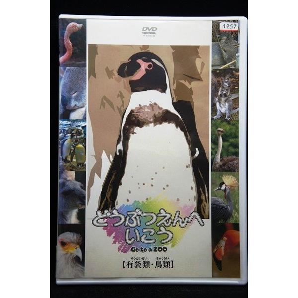 5100343 どうぶつえんへいこう 有袋類・鳥類 ※中古DVD（レンタル落ち