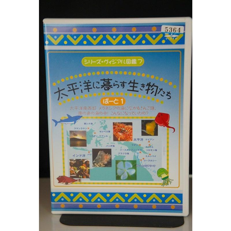 シリーズ ヴィジアル図鑑 7 太平洋に暮らす生き物たち ぱーと1 中古dvd レンタル落ち Onelifeyahoo ショップ 通販 Yahoo ショッピング