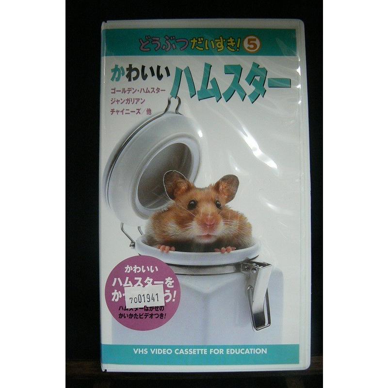 Vhsです どうぶつだいすき５ かわいいハムスター Onelifeyahoo ショップ 通販 Yahoo ショッピング