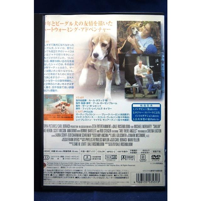 9100504 ビーグル犬 シャイロ 【中古品DVD】※レンタル落ち (ジャケット