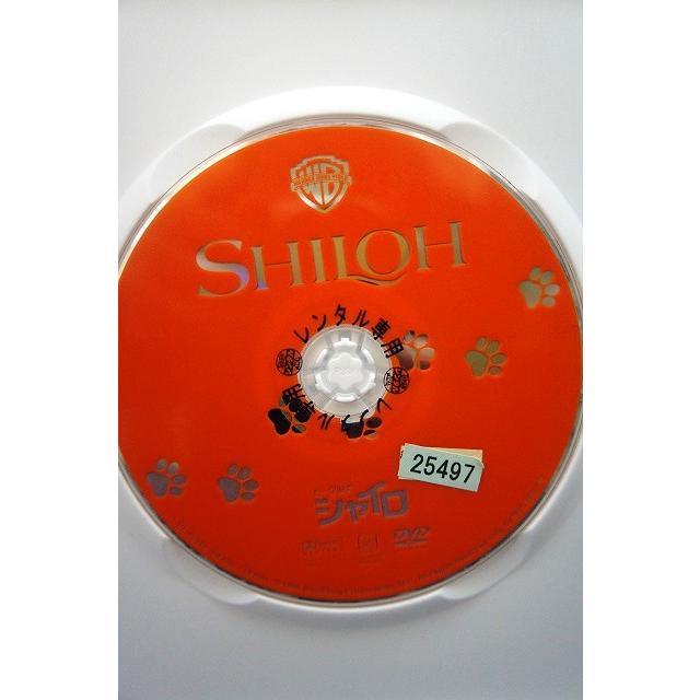 9100504 ビーグル犬 シャイロ 【中古品DVD】※レンタル落ち (ジャケット