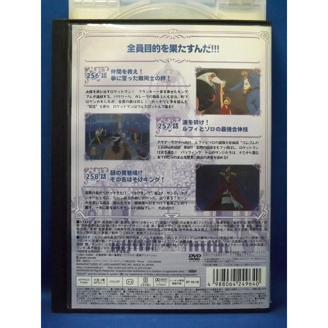 9101978 ONE PIECE ワンピース 8thシーズン ウォーターセブン篇 R−10